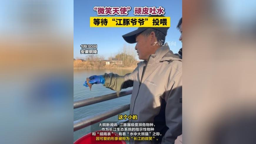 澳门今晚开什么码持号,留几手直播谈麦琳,公开决策资料解释落实_云端版V13.39