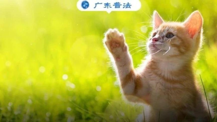 香港最准最快资料挂牌全篇澳门正版挂牌自动,哈利波特乐园将采取全预约制,展开计划实施_手机版V13.29