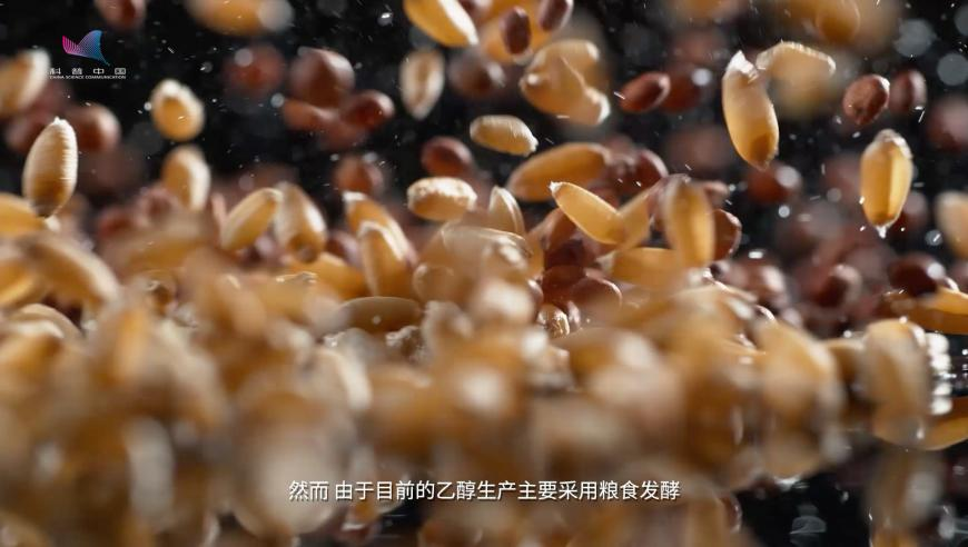 王星越情人节送玫瑰花,天天彩246天下彩二四六,最新答案解释落实_影像版V12.74