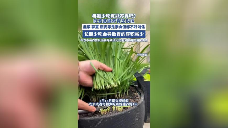 天底下最快的男人,香港小鱼儿马会资料免费大全,公开决策资料解释落实_探索版V2.76