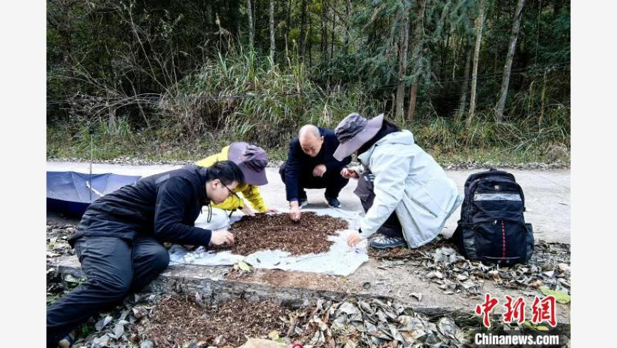 二四六天好彩944cc免费资料大全二四正版金牛网,外交部回应调查苹果公司传言,整体规划执行讲解_影像版V13.5
