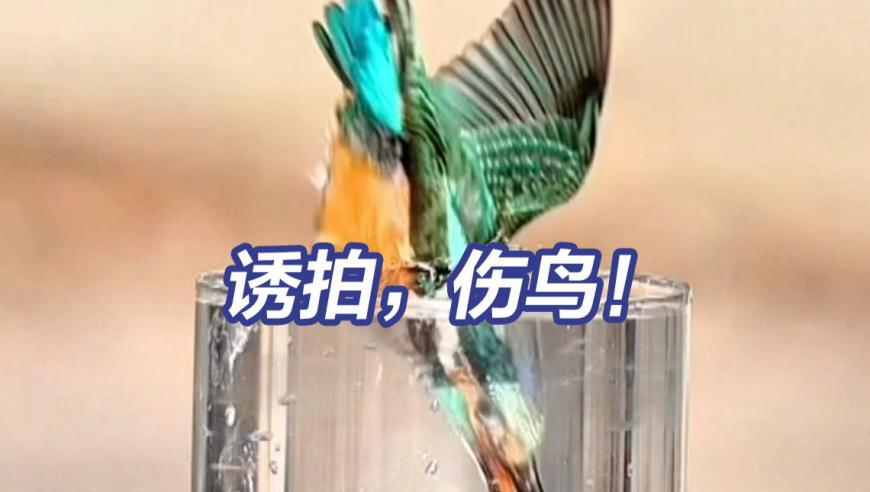 澳门雷锋2025免费资料,教授称985毕业送外卖也很正常,最佳精选解释落实_标清版V4.24