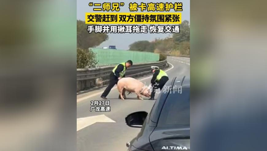 第一批买哪吒金镯的人已赚麻了,118开奖站澳门免费资料,经济性执行方案剖析_粉丝版V4.44