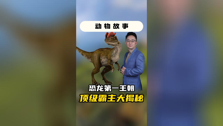 王中王论坛免费资料大全,东莞高龄老人可领取生活津贴,最新热门解答落实_网红版V4.62