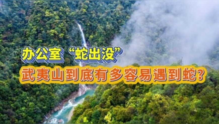 美的集团晒出高分红方案,新澳彩免费资料大全最新,决策资料解释落实_精英版V10.90
