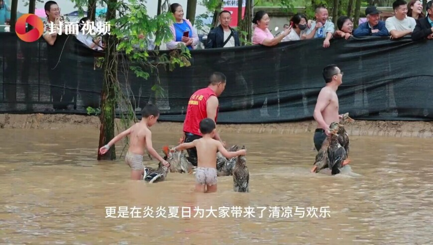 奥门正板资料大全,曝QQ调整短视频业务,权威独家讨论与热门话题_终极版V5.15